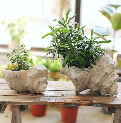 Conch Shell Planter Pots