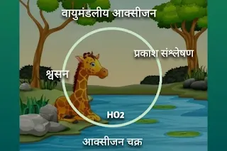 ऑक्सीजन चक्र का चित्र जैव भू रासायनिक चक्र क्या है - biogeochemical cycle in hindi