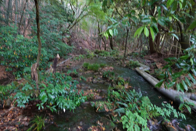 鳥取県米子市淀江町本宮 本宮の泉