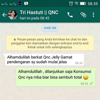 Cara Menyembuhkan Otomikosis