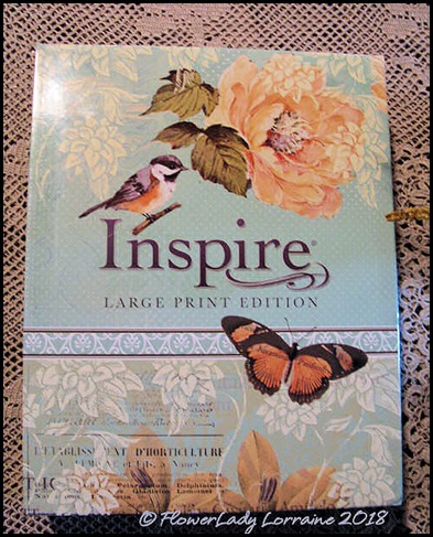 box-cover-front