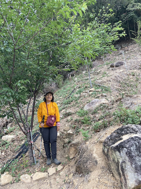 巴幸山登山口