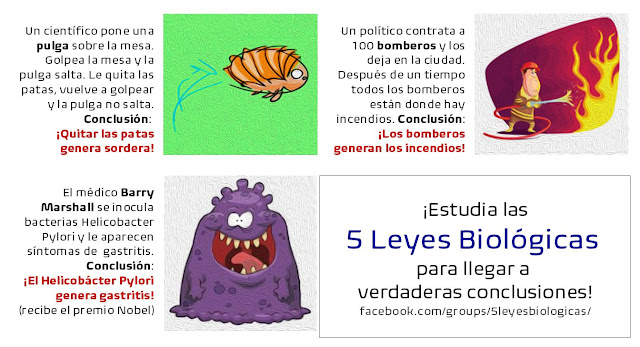 Las 5 Leyes Biológicas fueron descubiertas por el médico Dr. Ryke Geerd Hamer y deberían ser enseñadas, incluso en las escuelas primarias, por ser patrimonio de la humanidad.