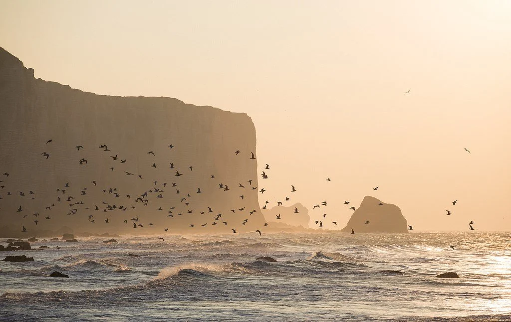 Normandy France