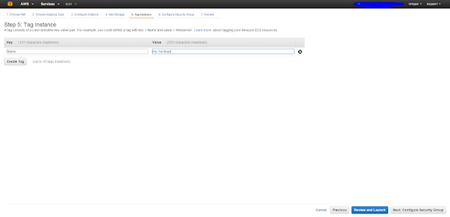 AWS Instance Tag page