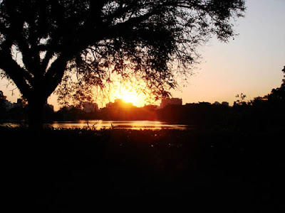 Parque Ibirapuera