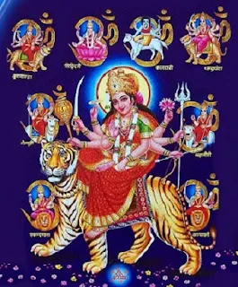 maa
