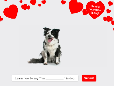 Free Valentine Dog Wallpaper