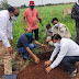 सरदारपुर - विश्व पर्यावरण दिवस पर एसडीएम, एसडीओपी सहित अधिकारियों ने गौशाला में किया पौधारोपण