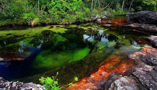 Bukan Hanya Rumah Saja Yang Diruqyah Tapi Sungai Pun Perlu Di Ruqyah