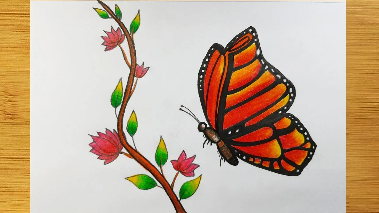 Butterfly Pic Art - Butterfly Pic Download - Butterfly Pic Drawing - Butterfly Wallpaper - projapoti pic - NeotericIT.com