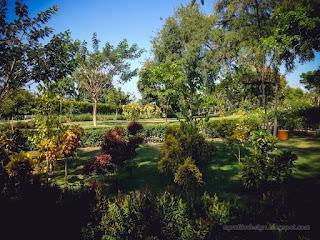 Warm Atmosphere Tropical Garden Landscape On A Sunny Day In A Long Dry Season Tangguwisia Village North Bali Indonesia