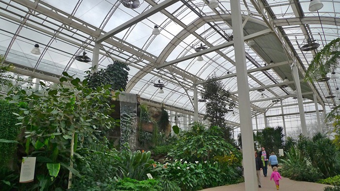 butterfly-exhibition4