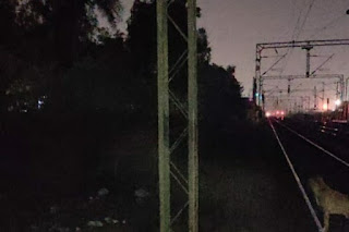 faridabad-rail-track-manish-shukla-suneeta-suicide-case