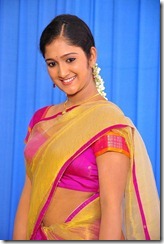Telugu Actress Chiry Latest Photo Shoot Stills In Saree