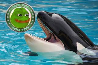 Crypto Whales Memborong Pepe coin Di Tengah Penurunan Harga