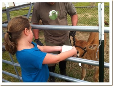 kate feeding chloe