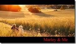 Marley & Me D1