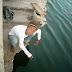 Pescando en el Muelle Real