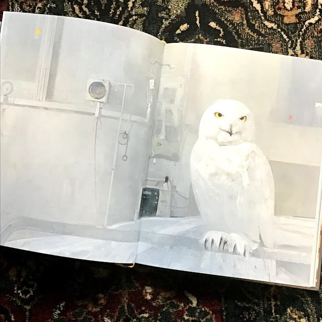 „Opowieści z głębi miasta”, Shaun Tan, Kultura Gniewu, książki obrazkowe dla dzieci i dla dorosłych też
