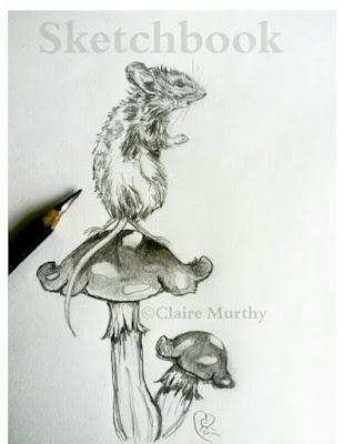 Wildlife drawing and sketching