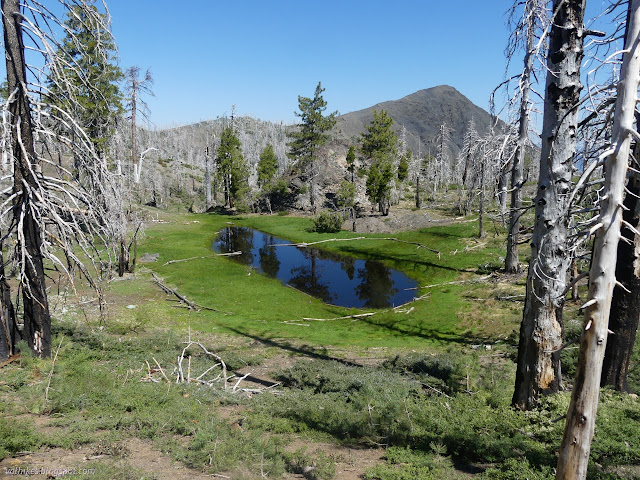 50: pond with fencing