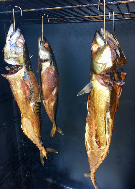 fischiscooking heiß geräucherte makrelen