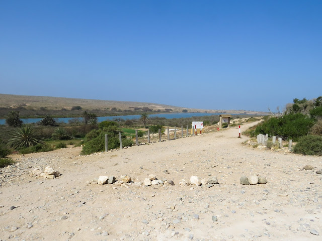 Souss Massa National Park - Morocco