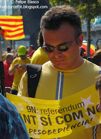 Diada 2014