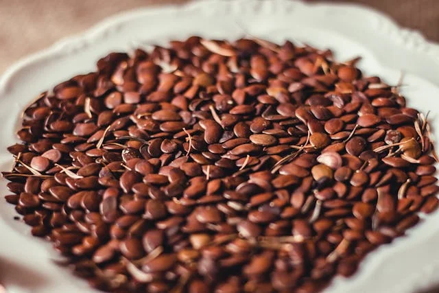 Brown seeds in Close Up Shot