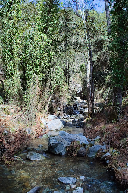 Part of the trail in Caledonian waterfalls at Mount Troodos, Cyprus. The trail is along the small river.