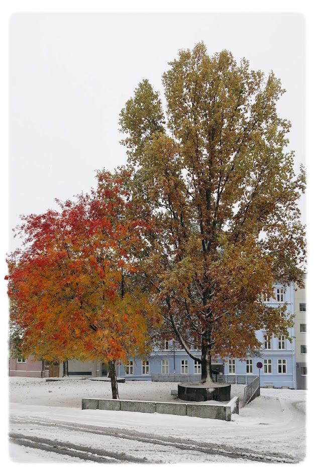 Rodes plass på Rodeløkka i Bydel Grünerløkka i Oslo.