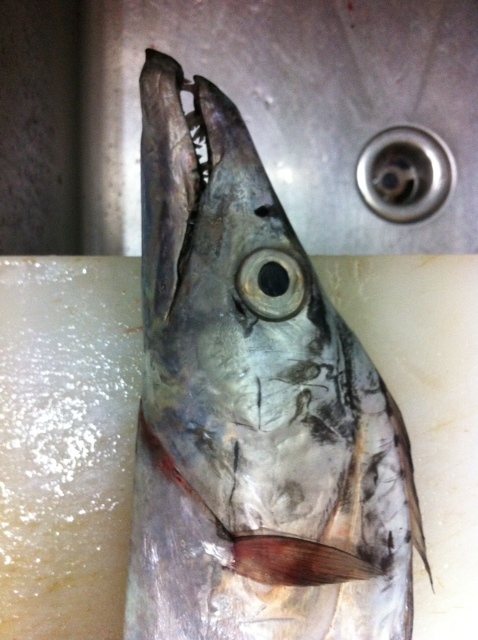 Tomoe Sushi Japanese Restaurant Cutlass Fish 太刀魚 Tomoe Sushi Japanese Restaurant Cutlass Fish 太刀魚