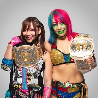 WWE Tag Team Womens TLC Flair Lynch Championship 