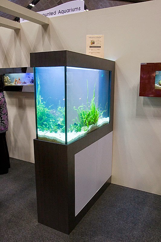  Aquarium  solo 