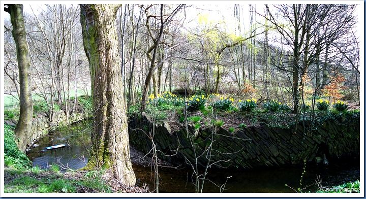 Across the Beck 