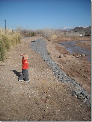 Throwing Rocks