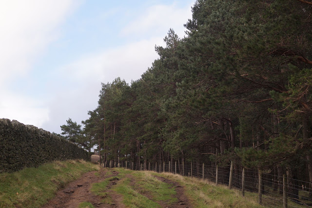 Walking in the Peak District near Ladybower reservoir