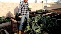 What Vegetables To Plant Now