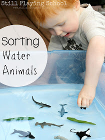 Sorting water and land animals with water play for kids