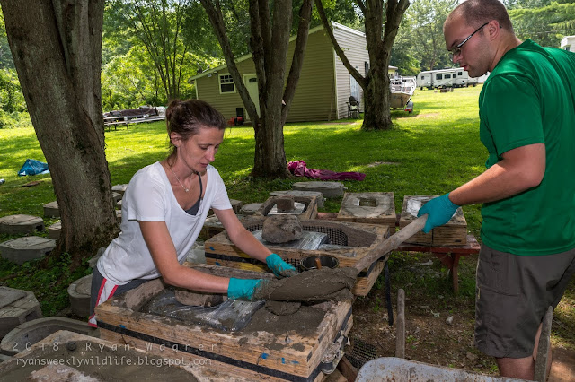 Hellbender Nest Boxes Pennsylvania