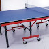 Table Tennis Table