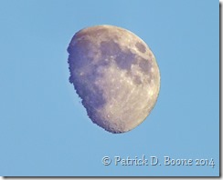 Day Moon High Contrast