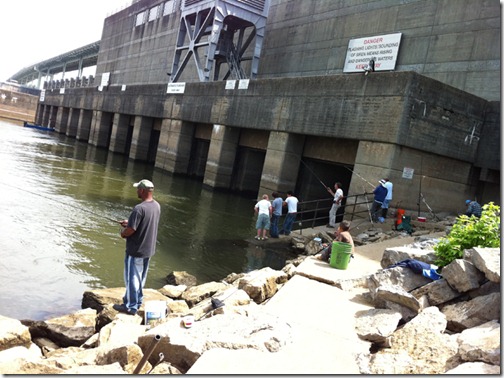 tn_al_may2011 099