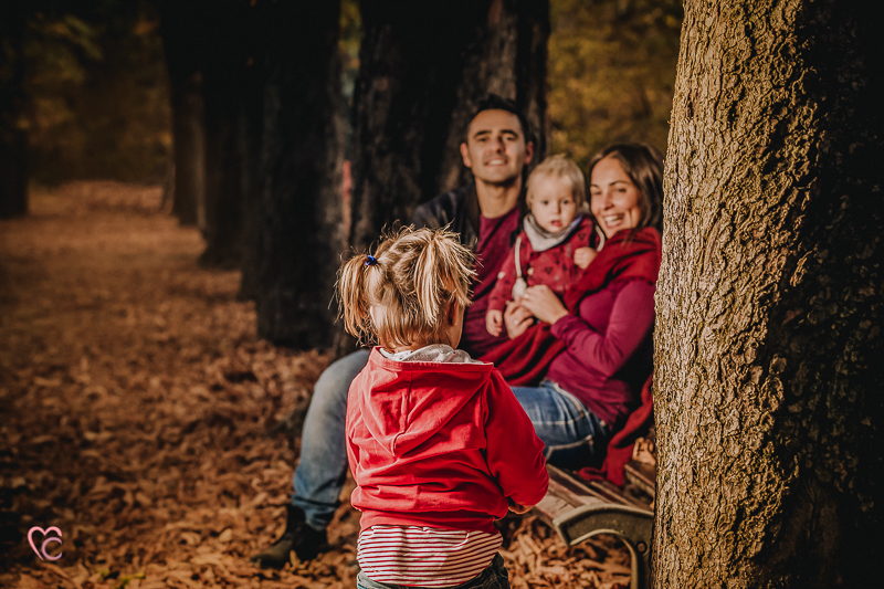 Fall family session chieri