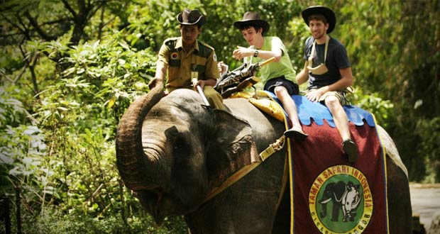 Taman Safari Indonesia