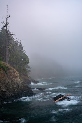 Foggy Coast, Tongue Point