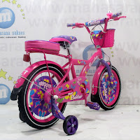 16 Sepeda Anak Family Flubber CTB