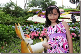 AIMG_0275
