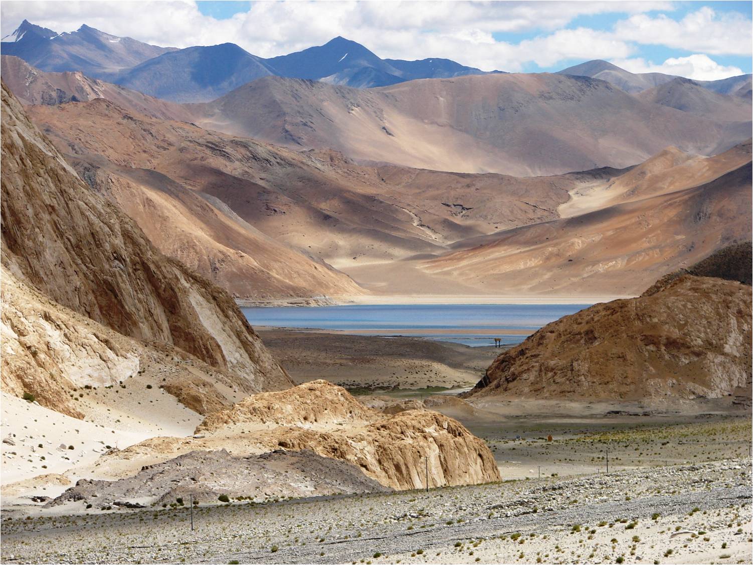 Ladakh is this vast expanse of barren land that is absolutely charming ...